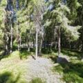 Automyynti Seppo Korhonen Oy – Pori